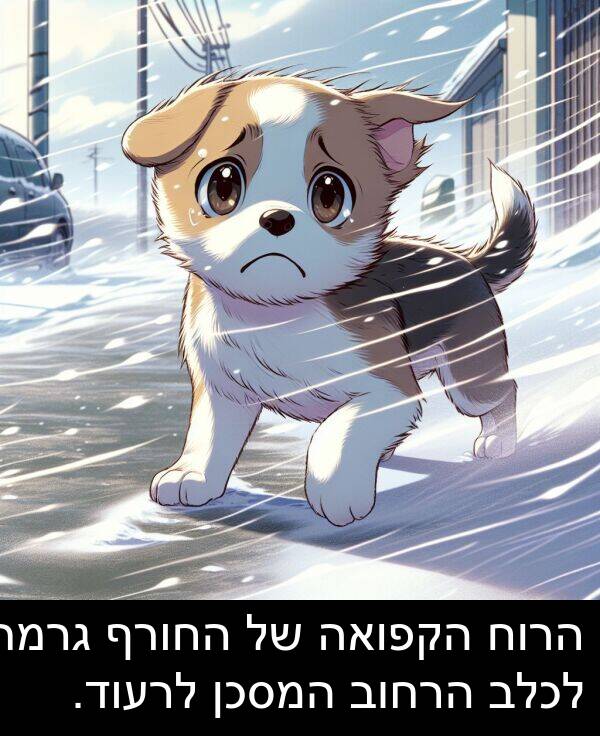גרמה: הרוח הקפואה של החורף גרמה לכלב הרחוב המסכן לרעוד.
