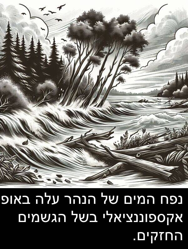 באופן: נפח המים של הנהר עלה באופן אקספוננציאלי בשל הגשמים החזקים.