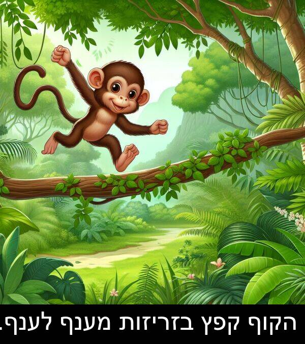 קפץ: הקוף קפץ בזריזות מענף לענף.
