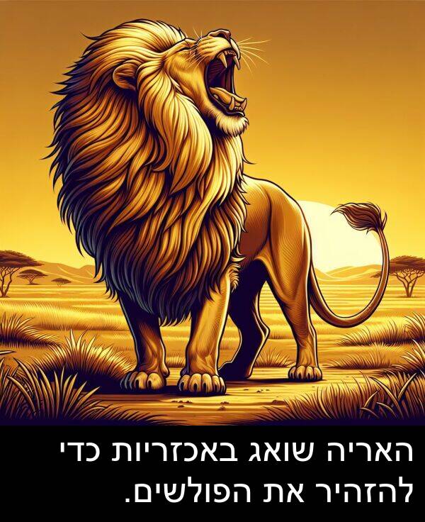 באכזריות: האריה שואג באכזריות כדי להזהיר את הפולשים.