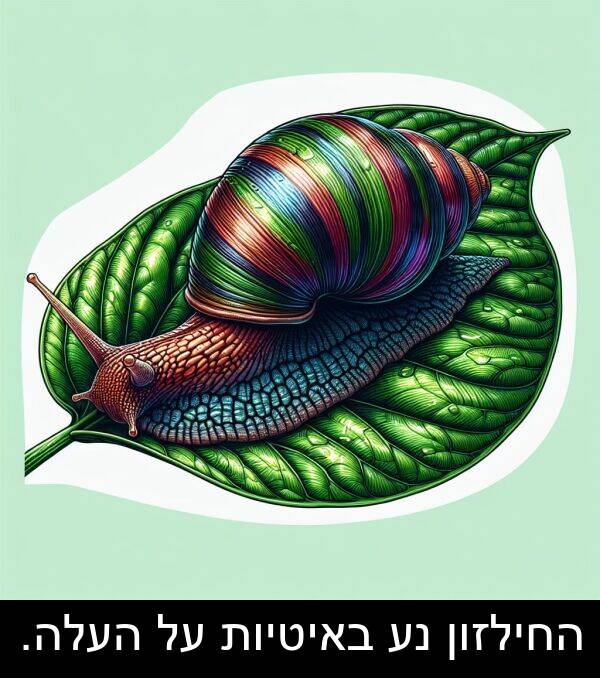 באיטיות: החילזון נע באיטיות על העלה.