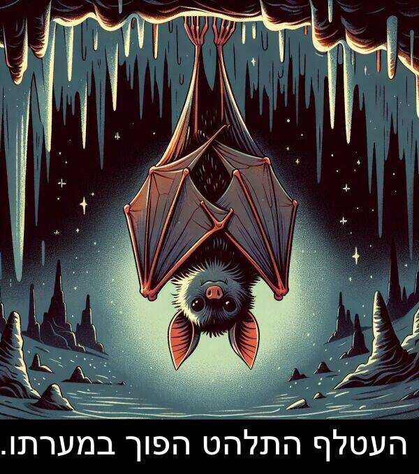 במערתו: העטלף התלהט הפוך במערתו.