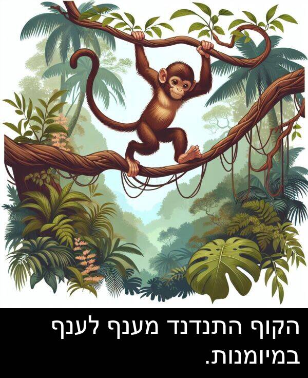 מענף: הקוף התנדנד מענף לענף במיומנות.