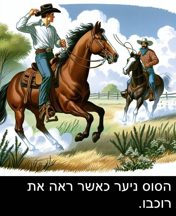 ניער: הסוס ניער כאשר ראה את רוכבו.