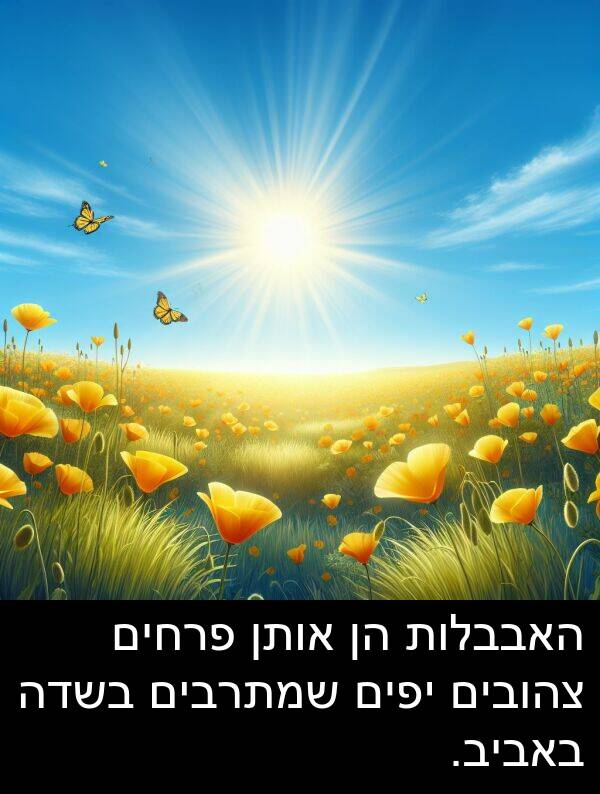 פרחים: האבבלות הן אותן פרחים צהובים יפים שמתרבים בשדה באביב.