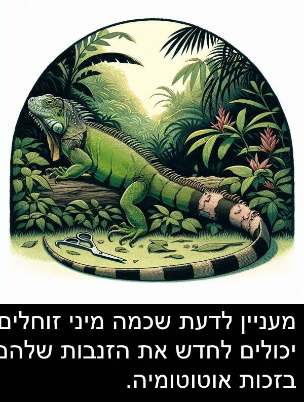 זוחלים: מעניין לדעת שכמה מיני זוחלים יכולים לחדש את הזנבות שלהם בזכות אוטוטומיה.