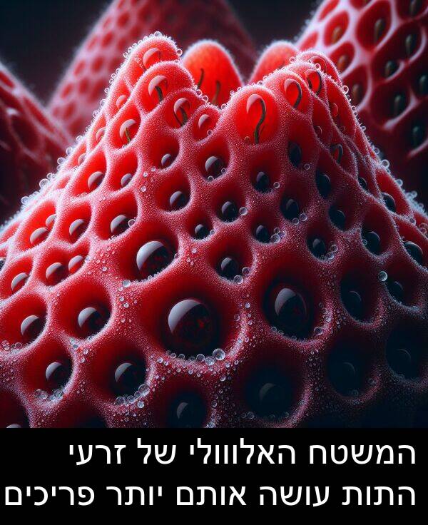 אותם: המשטח האלווולי של זרעי התות עושה אותם יותר פריכים.