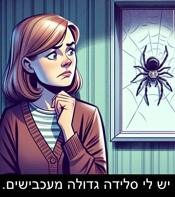 גדולה: יש לי סלידה גדולה מעכבישים.