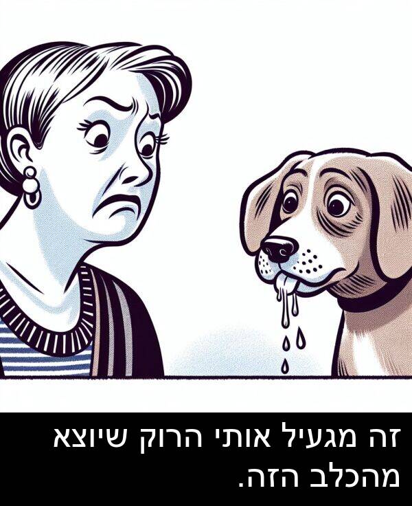 מגעיל: זה מגעיל אותי הרוק שיוצא מהכלב הזה.
