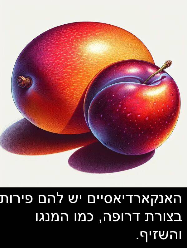 פירות: האנקארדיאסיים יש להם פירות בצורת דרופה, כמו המנגו והשזיף.