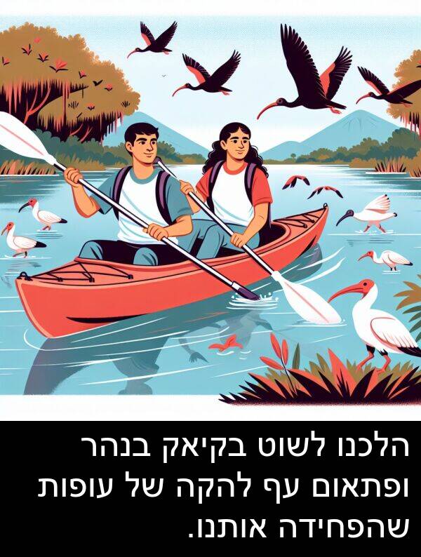 אותנו: הלכנו לשוט בקיאק בנהר ופתאום עף להקה של עופות שהפחידה אותנו.