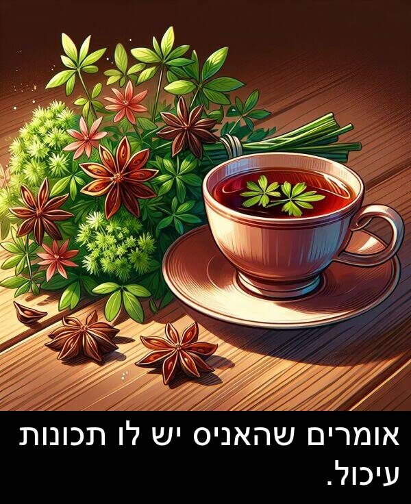 אומרים: אומרים שהאניס יש לו תכונות עיכול.