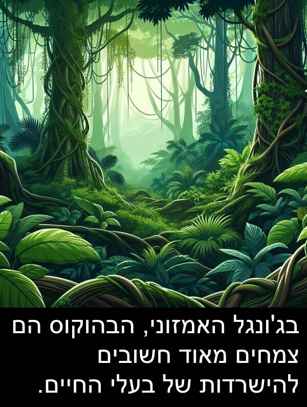 צמחים: בג'ונגל האמזוני, הבהוקוס הם צמחים מאוד חשובים להישרדות של בעלי החיים.