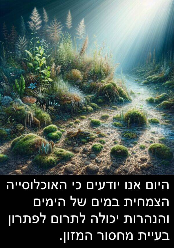 אנו: היום אנו יודעים כי האוכלוסייה הצמחית במים של הימים והנהרות יכולה לתרום לפתרון בעיית מחסור המזון.
