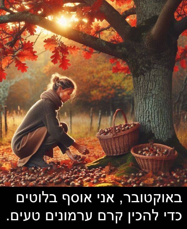 טעים: באוקטובר, אני אוסף בלוטים כדי להכין קרם ערמונים טעים.