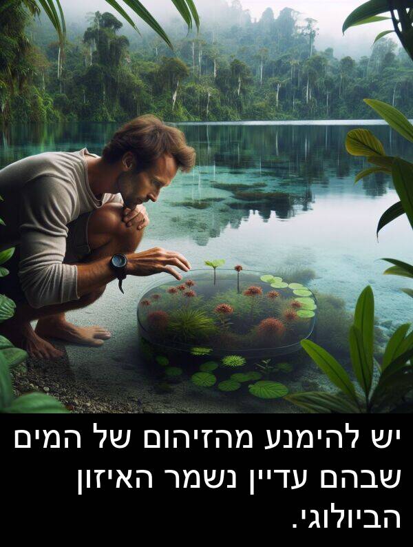 עדיין: יש להימנע מהזיהום של המים שבהם עדיין נשמר האיזון הביולוגי.