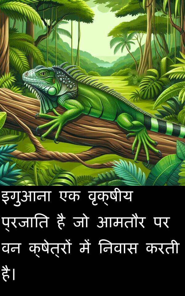 निवास: इगुआना एक वृक्षीय प्रजाति है जो आमतौर पर वन क्षेत्रों में निवास करती है।