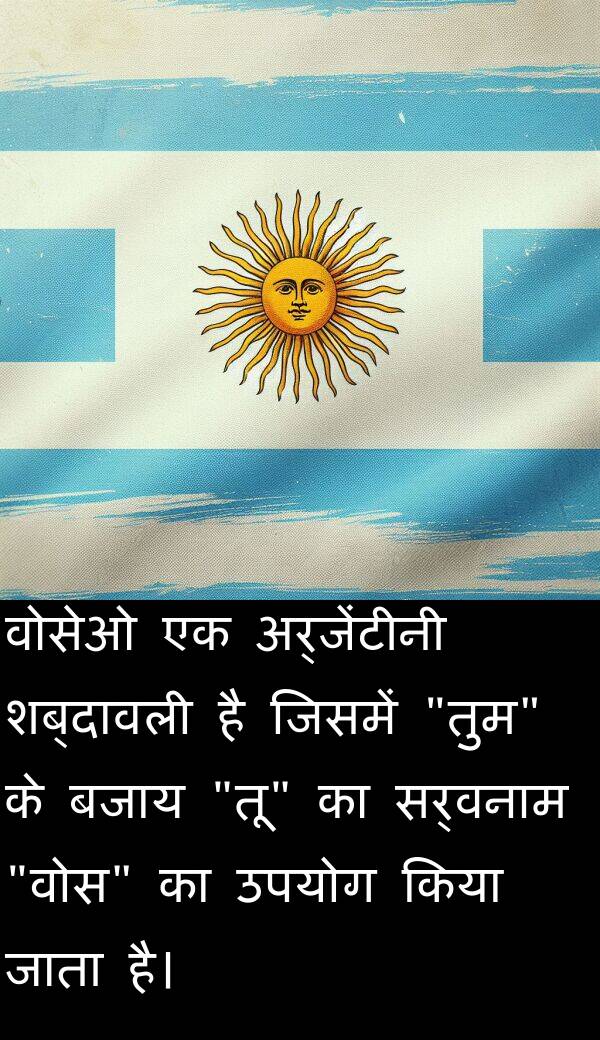 बजाय: वोसेओ एक अर्जेंटीनी शब्दावली है जिसमें "तुम" के बजाय "तू" का सर्वनाम "वोस" का उपयोग किया जाता है।