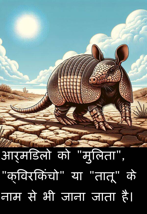नाम: आर्मडिलो को "मुलिता", "क्विरकिंचो" या "तातू" के नाम से भी जाना जाता है।
