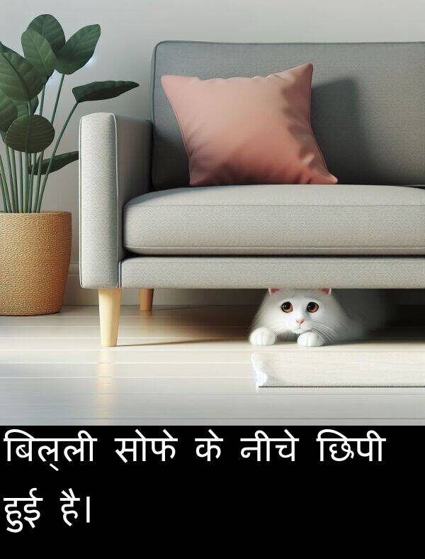 छिपी: बिल्ली सोफे के नीचे छिपी हुई है।