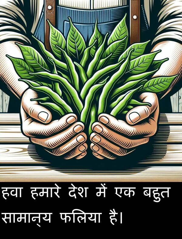 हमारे: हवा हमारे देश में एक बहुत सामान्य फलिया है।
