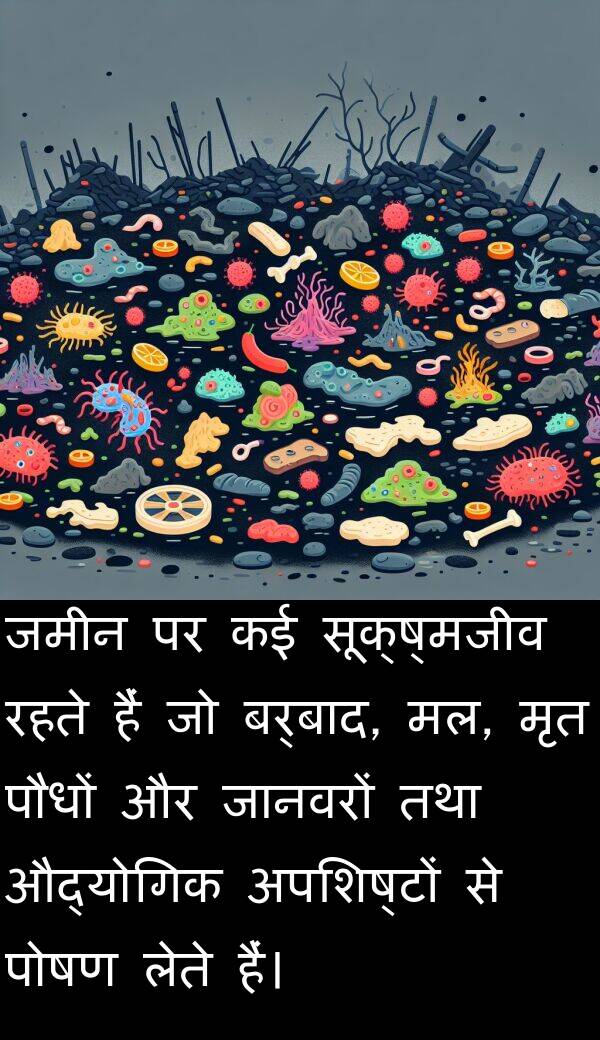 लेते: जमीन पर कई सूक्ष्मजीव रहते हैं जो बर्बाद, मल, मृत पौधों और जानवरों तथा औद्योगिक अपशिष्टों से पोषण लेते हैं।
