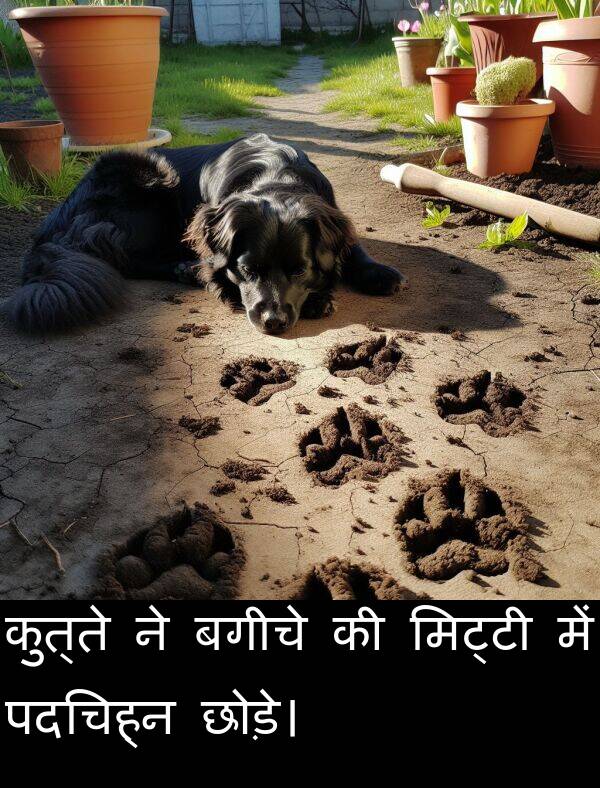 छोड़े।: कुत्ते ने बगीचे की मिट्टी में पदचिह्न छोड़े।