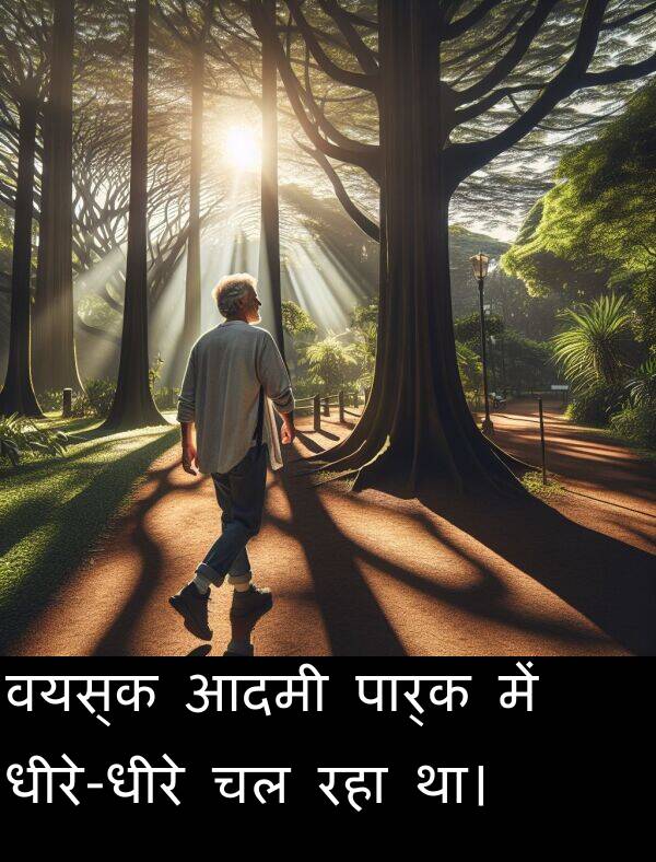 वयस्क: वयस्क आदमी पार्क में धीरे-धीरे चल रहा था।