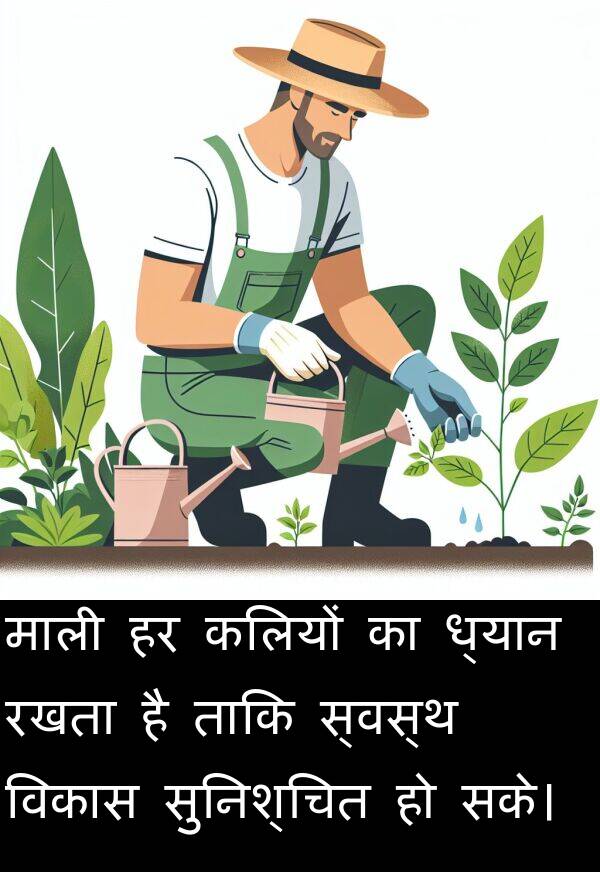 ध्यान: माली हर कलियों का ध्यान रखता है ताकि स्वस्थ विकास सुनिश्चित हो सके।