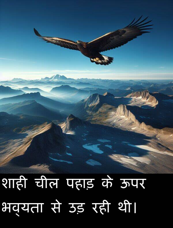 पहाड़: शाही चील पहाड़ के ऊपर भव्यता से उड़ रही थी।