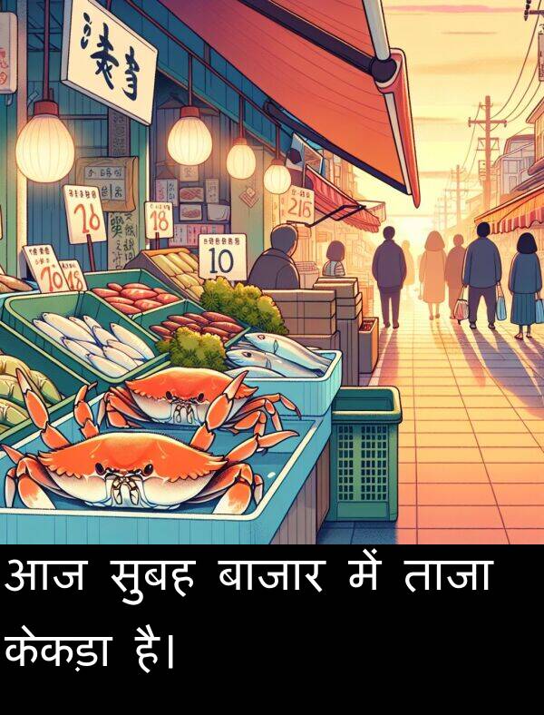 ताजा: आज सुबह बाजार में ताजा केकड़ा है।