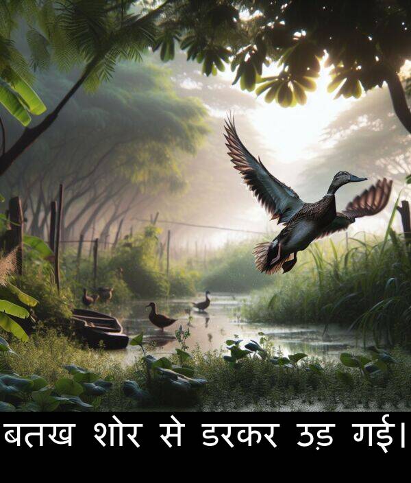 उड़: बतख शोर से डरकर उड़ गई।