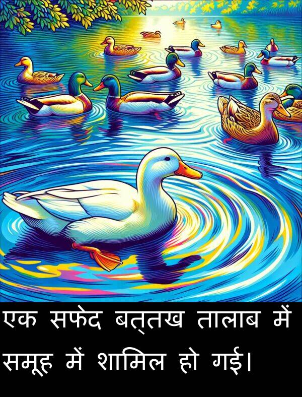 समूह: एक सफेद बत्तख तालाब में समूह में शामिल हो गई।