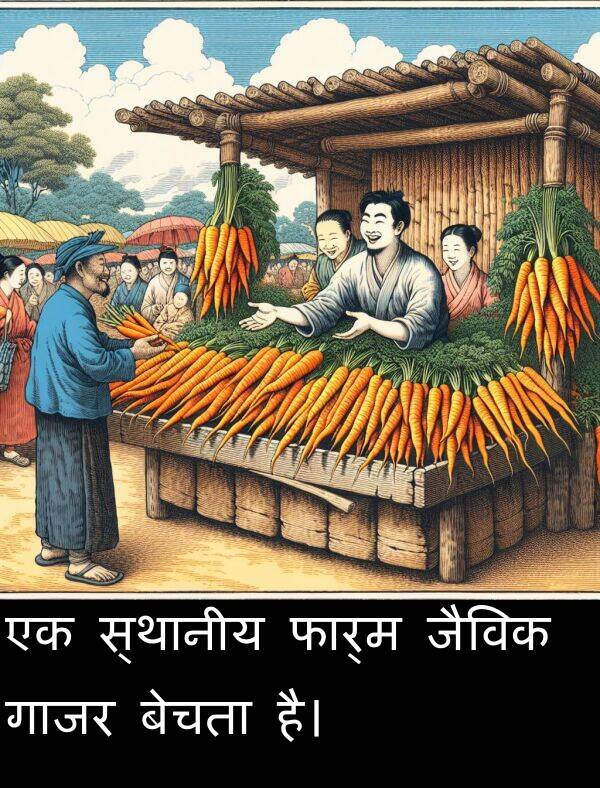 फार्म: एक स्थानीय फार्म जैविक गाजर बेचता है।