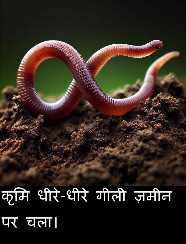 चला।: कृमि धीरे-धीरे गीली ज़मीन पर चला।