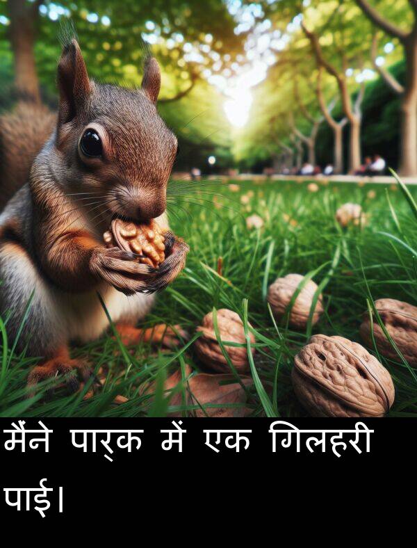 पाई।: मैंने पार्क में एक गिलहरी पाई।