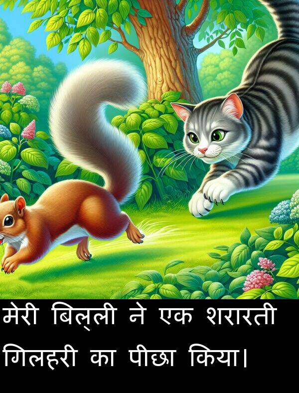 शरारती: मेरी बिल्ली ने एक शरारती गिलहरी का पीछा किया।