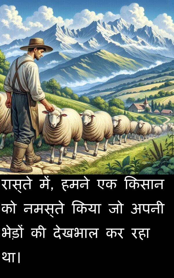 भेड़ों: रास्ते में, हमने एक किसान को नमस्ते किया जो अपनी भेड़ों की देखभाल कर रहा था।