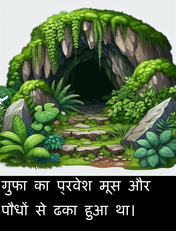 हुआ: गुफा का प्रवेश मूस और पौधों से ढका हुआ था।