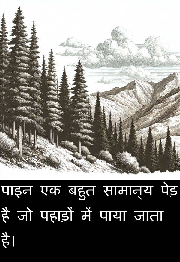 पहाड़ों: पाइन एक बहुत सामान्य पेड़ है जो पहाड़ों में पाया जाता है।