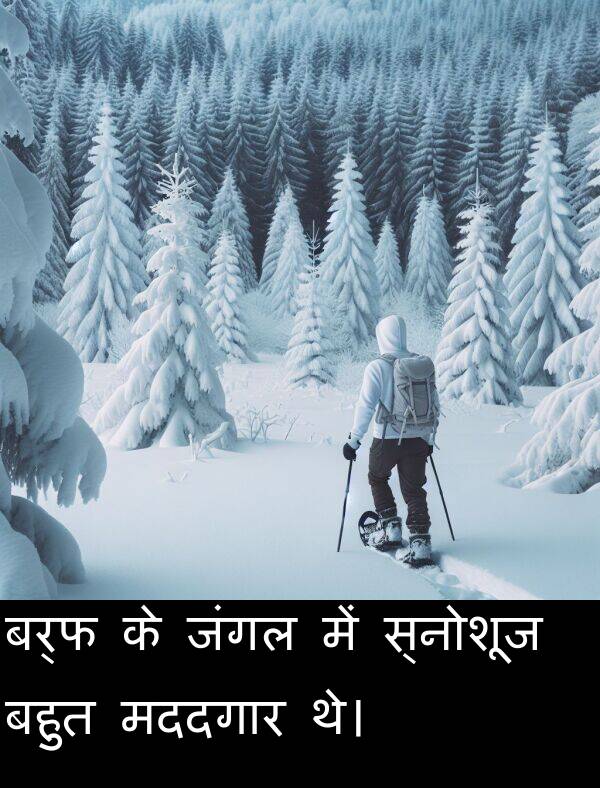 बर्फ: बर्फ के जंगल में स्नोशूज बहुत मददगार थे।