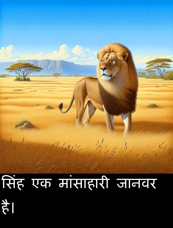 मांसाहारी: सिंह एक मांसाहारी जानवर है।