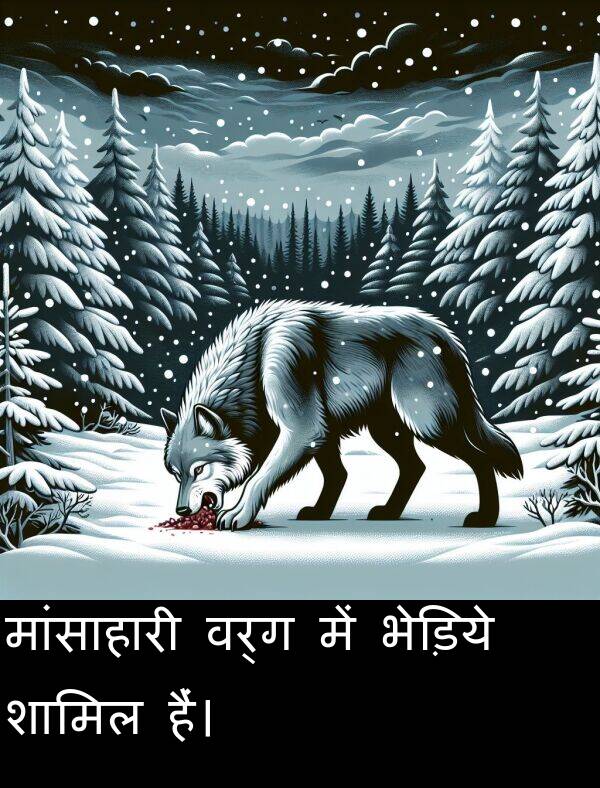 भेड़िये: मांसाहारी वर्ग में भेड़िये शामिल हैं।