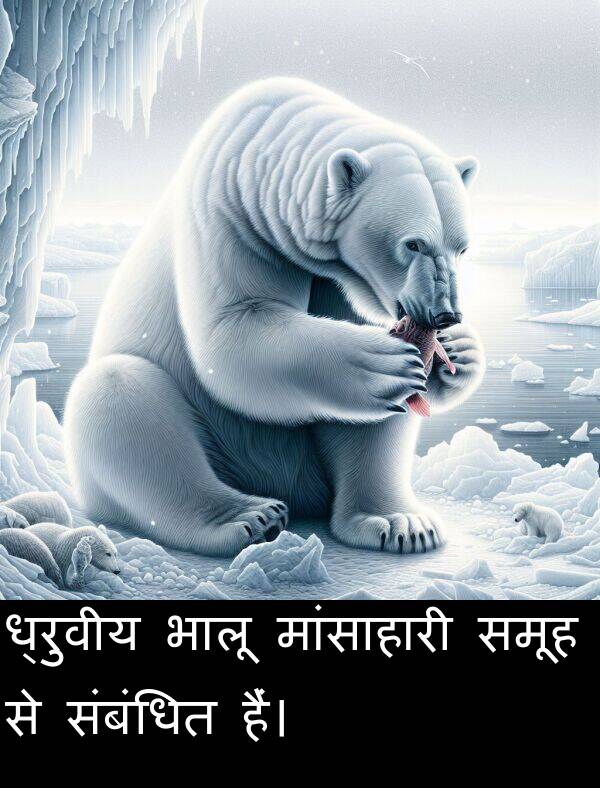 ध्रुवीय: ध्रुवीय भालू मांसाहारी समूह से संबंधित हैं।