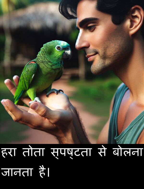 हरा: हरा तोता स्पष्टता से बोलना जानता है।