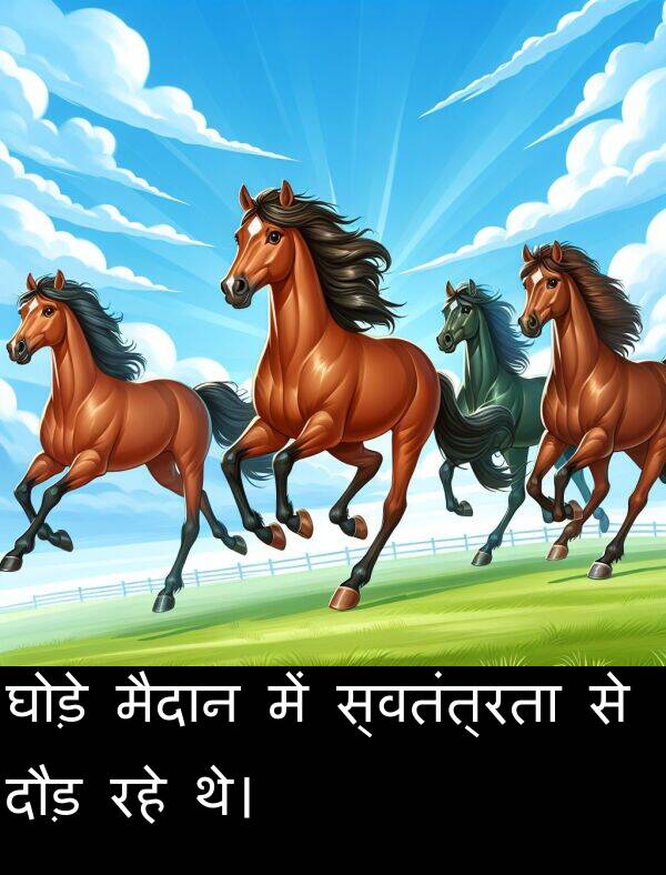 रहे: घोड़े मैदान में स्वतंत्रता से दौड़ रहे थे।