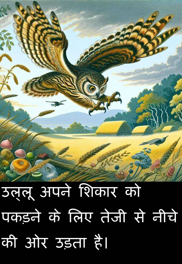 उड़ता: उल्लू अपने शिकार को पकड़ने के लिए तेजी से नीचे की ओर उड़ता है।