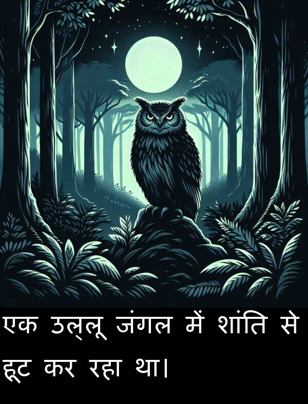 उल्लू: एक उल्लू जंगल में शांति से हूट कर रहा था।