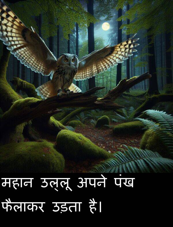 उड़ता: महान उल्लू अपने पंख फैलाकर उड़ता है।