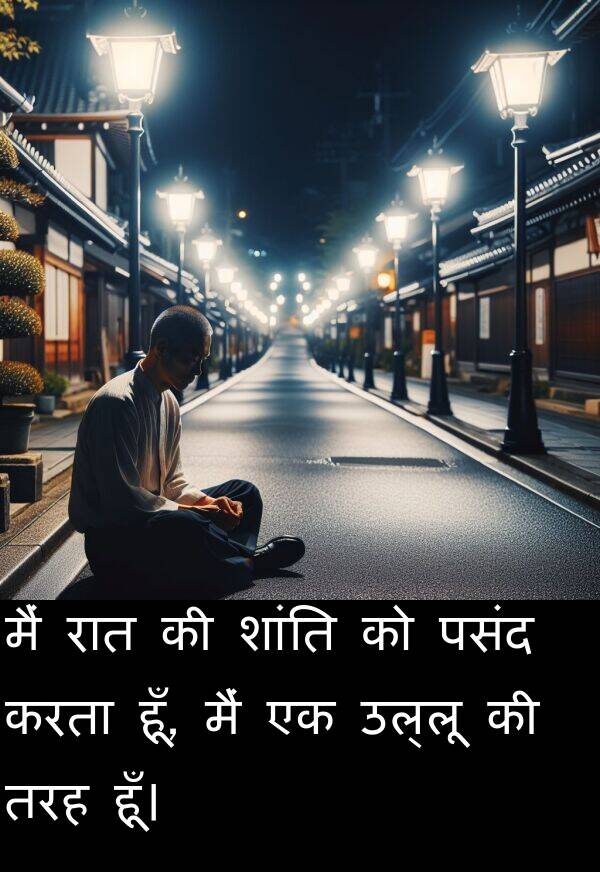 उल्लू: मैं रात की शांति को पसंद करता हूँ, मैं एक उल्लू की तरह हूँ।